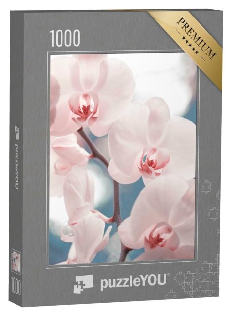 Puzzle de 1000 pièces « Orchidée phalaenopsis rose tendre »