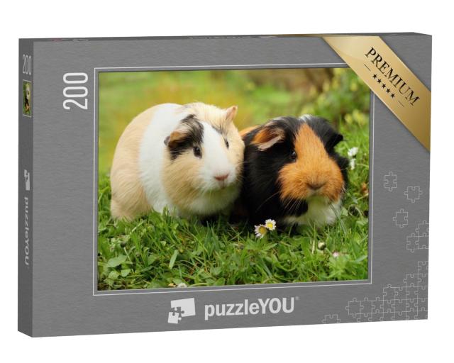 Puzzle de 200 pièces « Deux adorables cochons d'Inde »