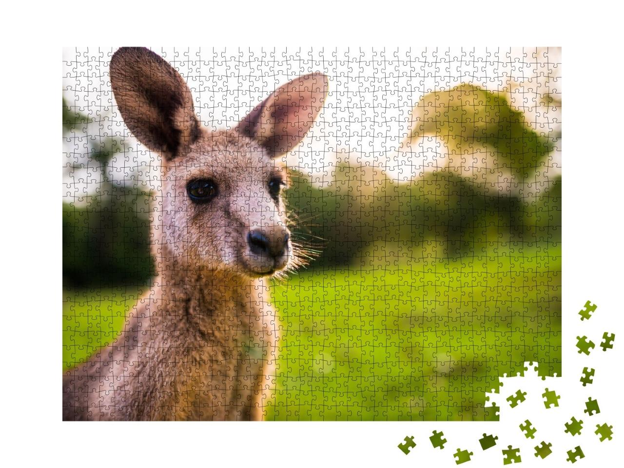 Puzzle de 1000 pièces « Jeune kangourou sur la côte est de l'Australie »