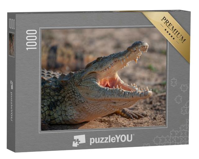 Puzzle de 1000 pièces « Un crocodile du Nil vu lors d'un safari en Afrique du Sud »