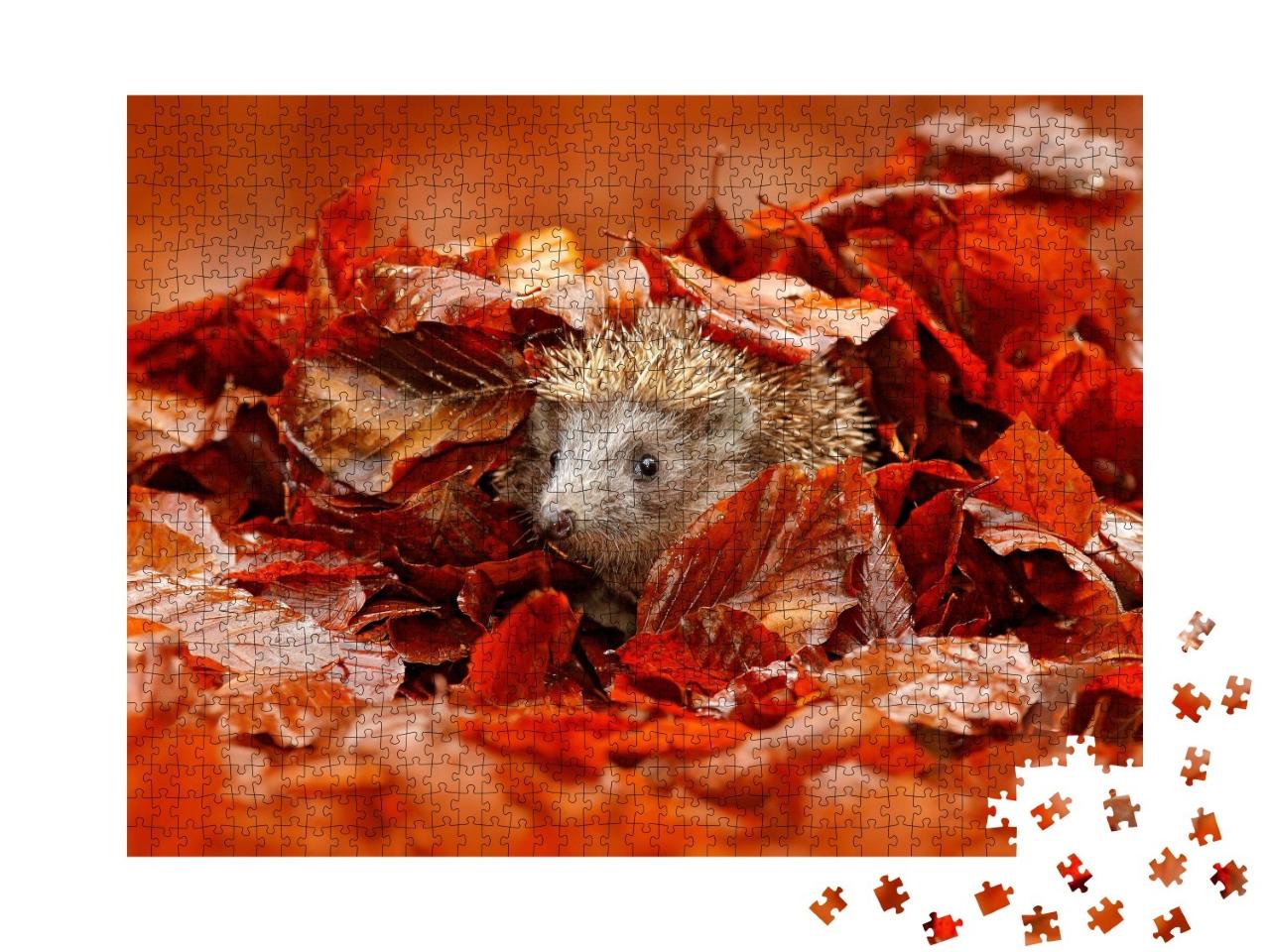 Puzzle de 1000 pièces « Petit hérisson caché dans les feuilles d'automne colorées »
