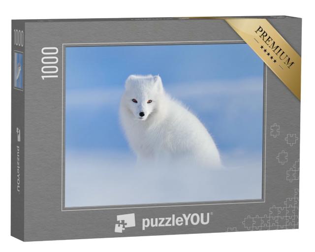 Puzzle de 1000 pièces « Renard polaire blanc dans son habitat naturel, Svalbard, Norvège »