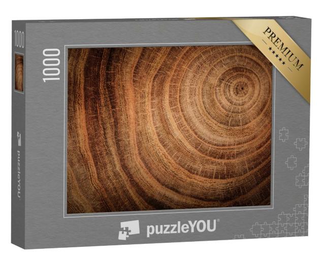 Puzzle de 1000 pièces « Souche d'un chêne abattu avec tronc et cernes annuels »