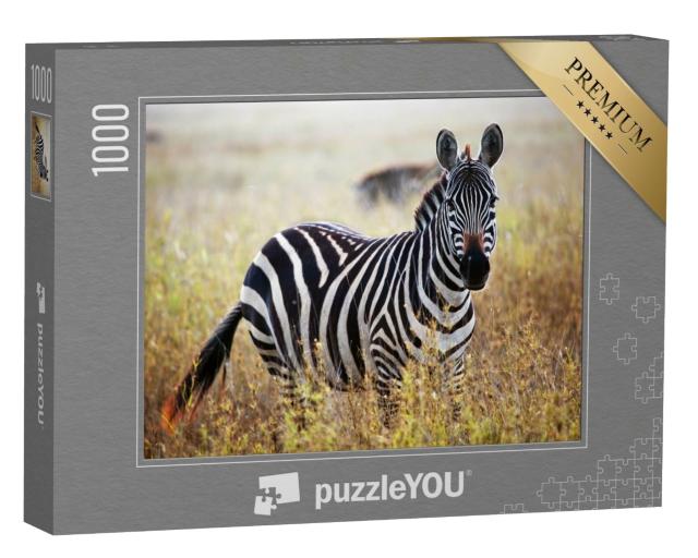 Puzzle de 1000 pièces « Portrait de zèbre de la savane africaine, Serengeti, Tanzanie »