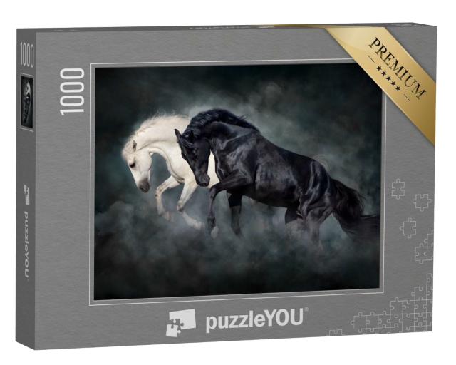 Puzzle de 1000 pièces « Étalon noir et blanc »
