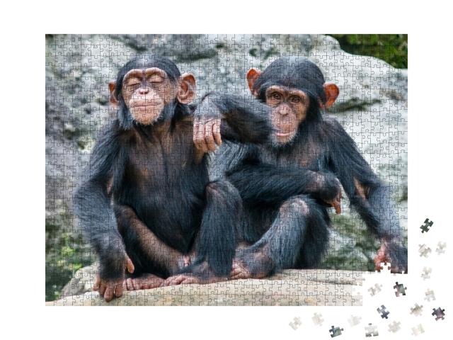 Puzzle de 1000 pièces « Deux bébés chimpanzés espiègles côte à côte »