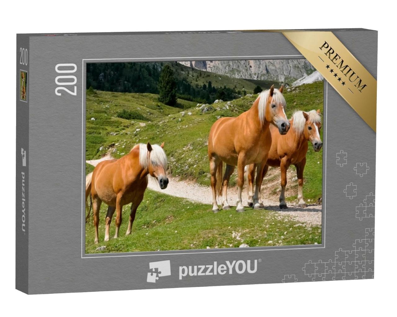 Puzzle de 200 pièces « Trois chevaux Haflinger sur un alpage dans le Tyrol du Sud, Italie »