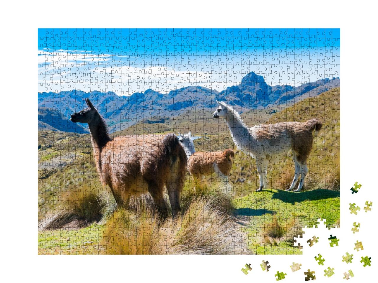 Puzzle de 1000 pièces « Lamas dans le parc Cajas Cuenca, Équateur »