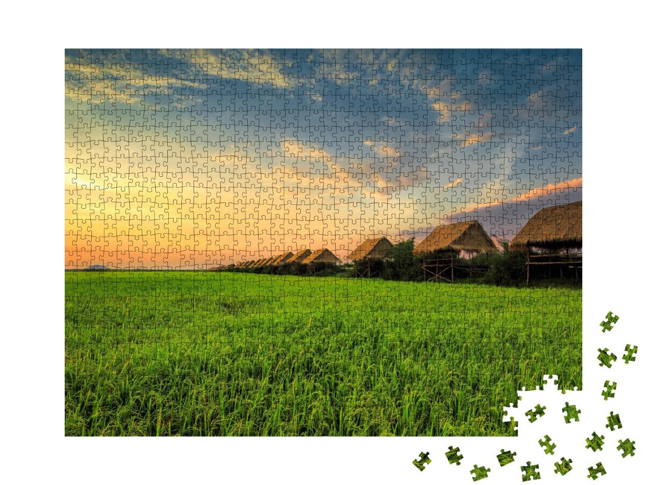 Puzzle de 1000 pièces « Coucher de soleil sur une rizière à Siem Reap »
