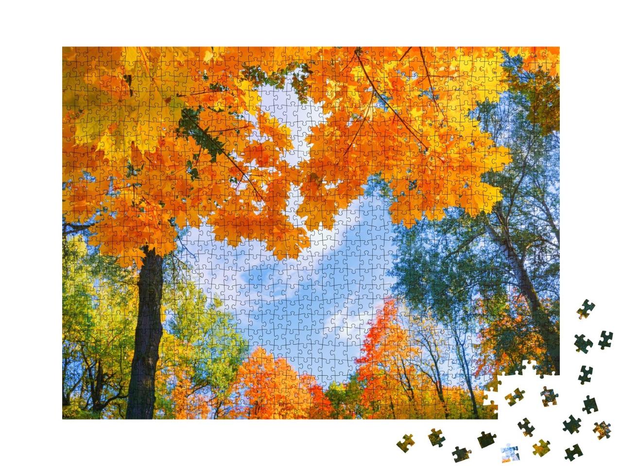 Puzzle de 1000 pièces « Feuilles dorées en automne »