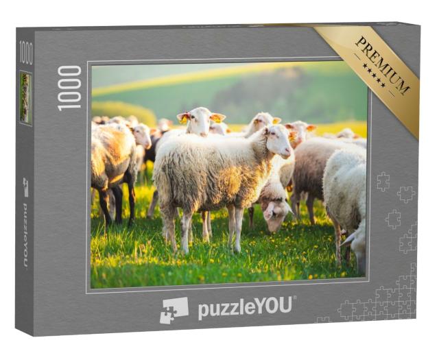 Puzzle de 1000 pièces « Moutons dans une prairie au coucher du soleil »