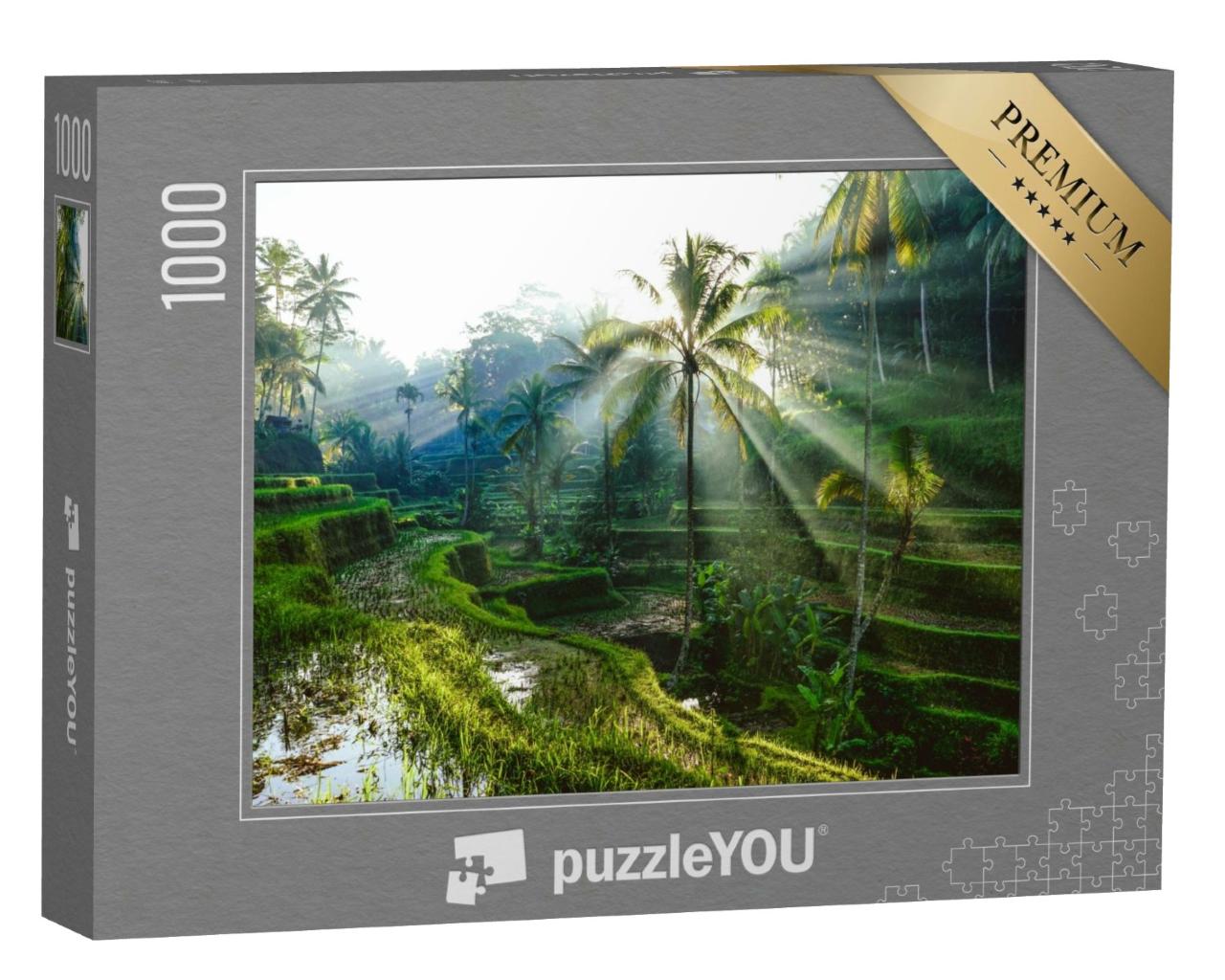 Puzzle de 1000 pièces « Rayons de soleil sur les rizières en terrasses de Bali »