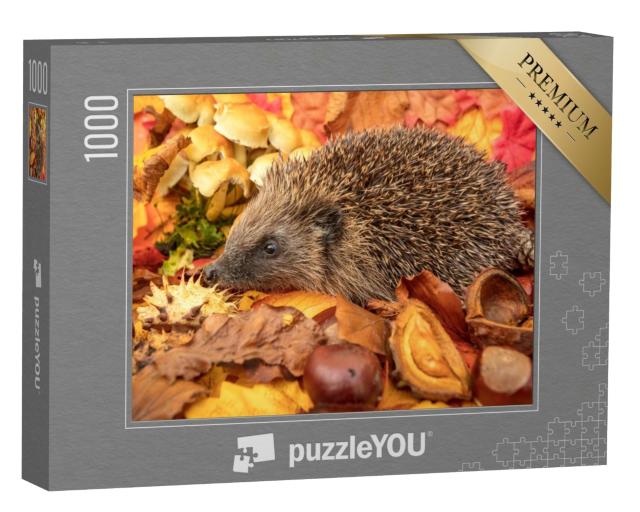Puzzle de 1000 pièces « Hérisson en automne avec des châtaignes et des feuilles d'automne colorées »