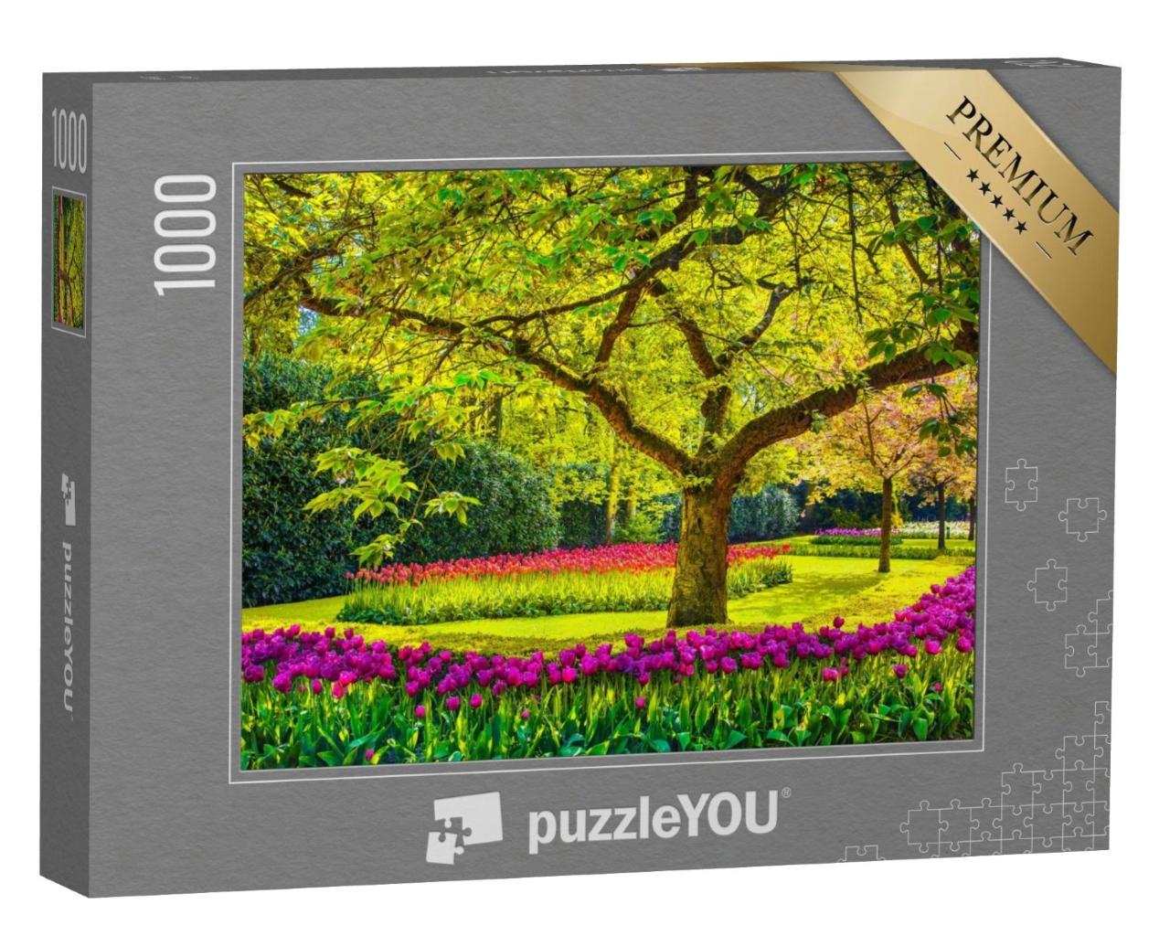 Puzzle de 1000 pièces « Tulipes, Keukenhof, Pays-Bas »