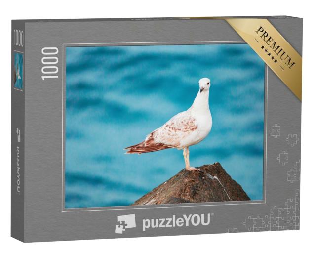 Puzzle de 1000 pièces « Une mouette au bord de la mer »