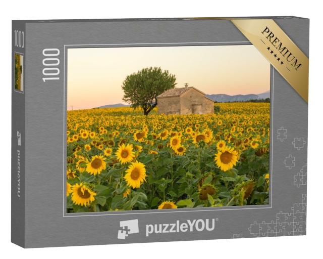 Puzzle de 1000 pièces « Un champ de tournesols entoure un vieux bâtiment en Provence, France »