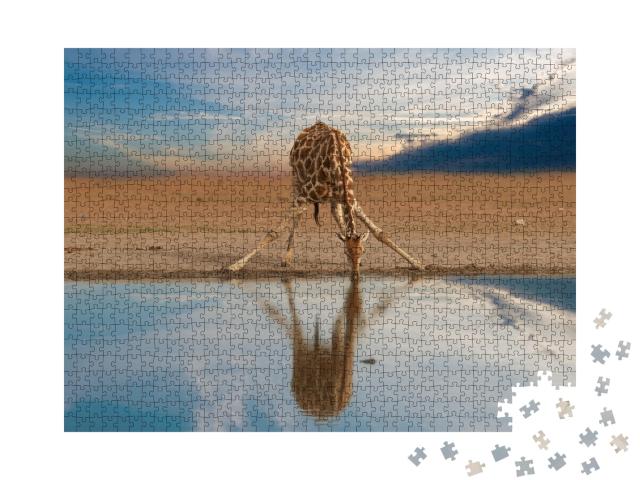 Puzzle de 1000 pièces « Girafe buvant au point d'eau, pan d'Etosha, Namibie »