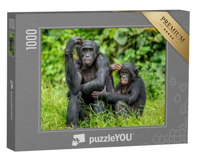 Puzzle de 1000 pièces « Bonobo femelle avec un bébé au Congo, Afrique »