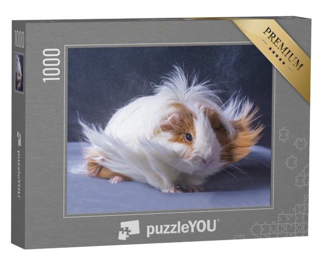 Puzzle de 1000 pièces « Cochon d'Inde avec une longue chevelure »