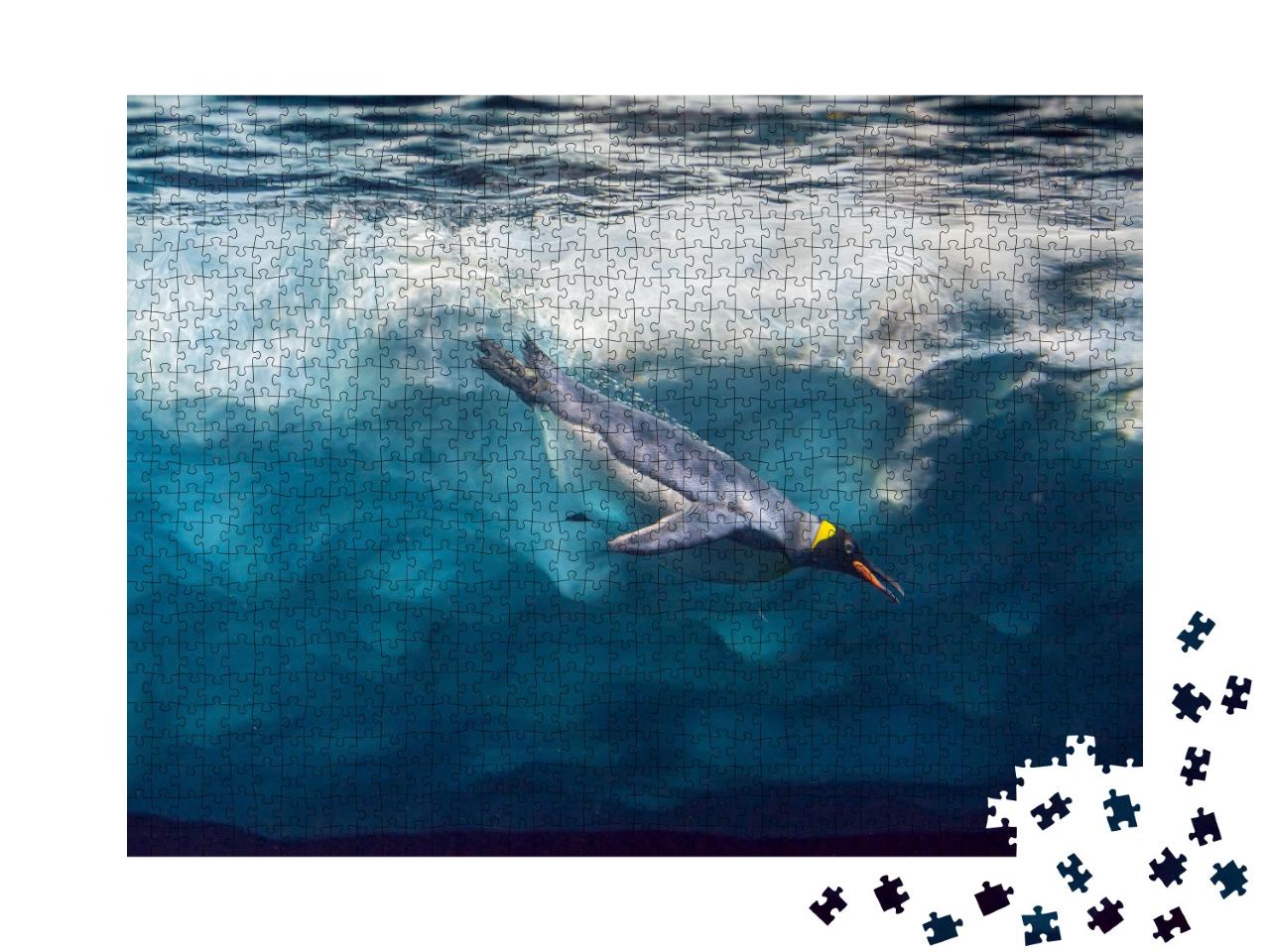 Puzzle de 1000 pièces « Pingouin plongeant sous la glace, photo sous-marine »