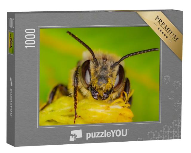 Puzzle de 1000 pièces « Une abeille sauvage récolte du pollen, Québec, Canada »