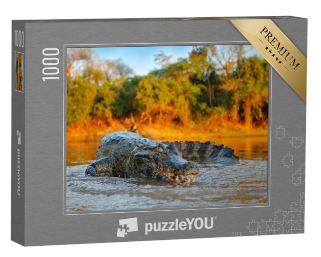 Puzzle de 1000 pièces « Crocodile au bord d'une rivière, Bolivie »