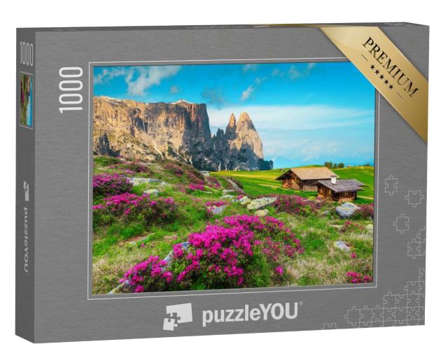 Puzzle de 1000 pièces « Alpe de Siusi, Dolomites, Italie »