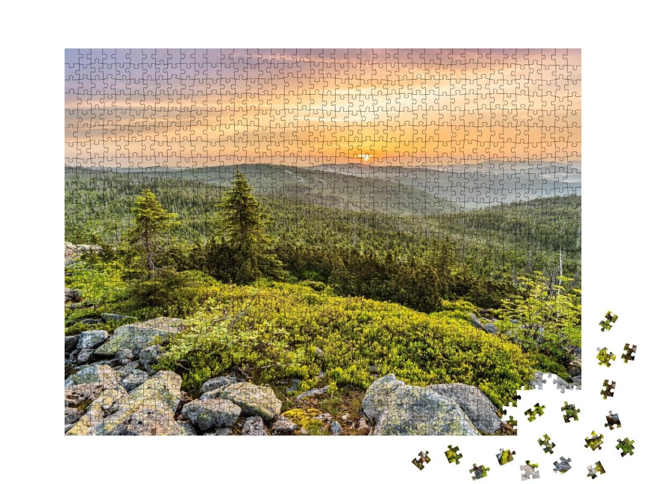 Puzzle de 1000 pièces « Sommet du Lusen, Forêt bavaroise »