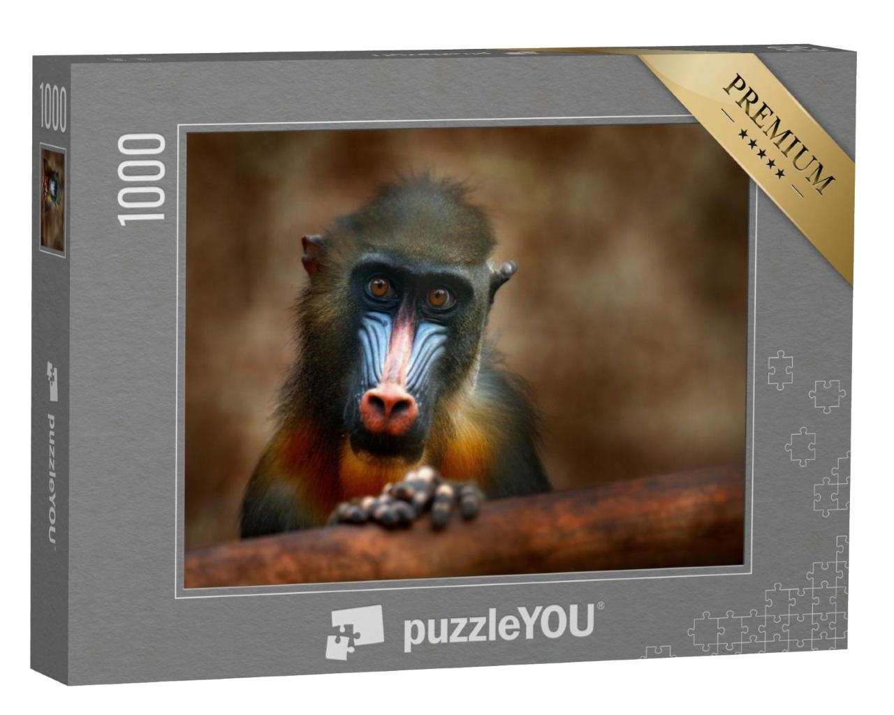 Puzzle de 1000 pièces « Le mandrill : un singe d'Afrique centrale »