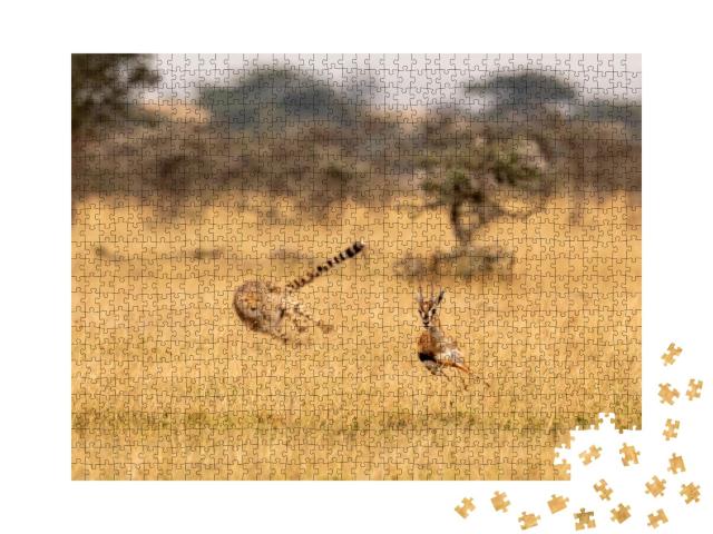 Puzzle de 1000 pièces « Guépard en chasse »