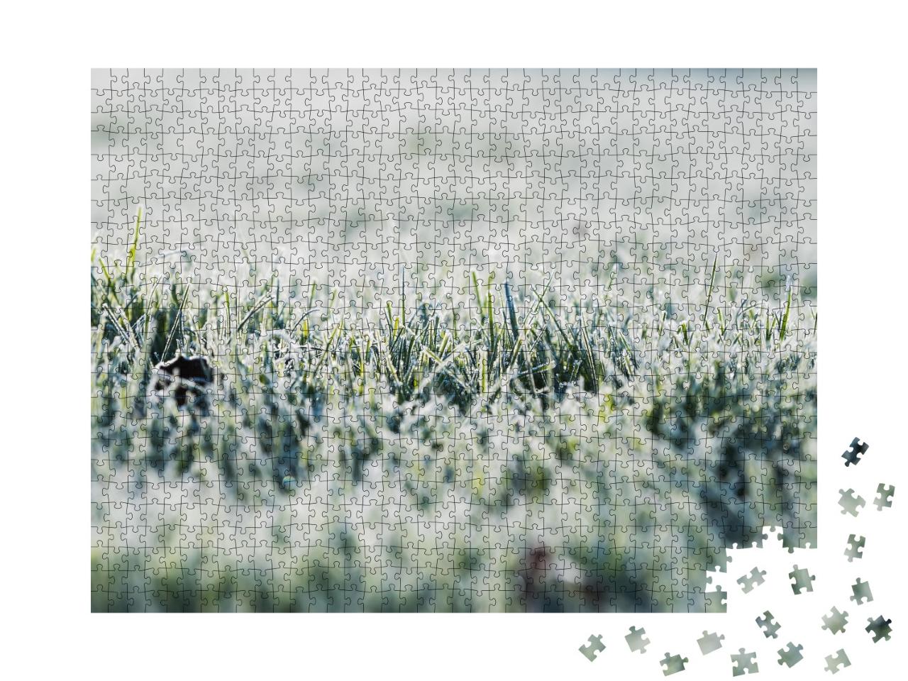 Puzzle de 1000 pièces « Gel sur l'herbe pendant la saison froide »