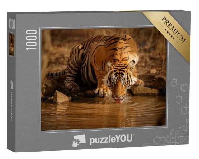 Puzzle de 1000 pièces « Tigre dans la nature : un tigre mâle boit de l'eau au Rajasthan, Inde »