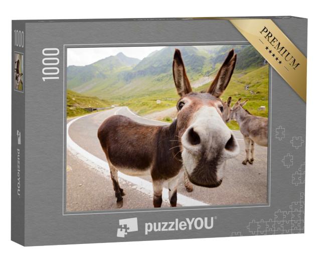 Puzzle de 1000 pièces « Drôle d'âne dans les montagnes roumaines »