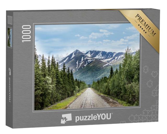 Puzzle de 1000 pièces « Voie ferrée dans le parc national de Denali, Alaska »