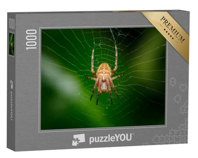 Puzzle de 1000 pièces « Gros plan sur une araignée croisée, également connue sous le nom d'araignée diadème »