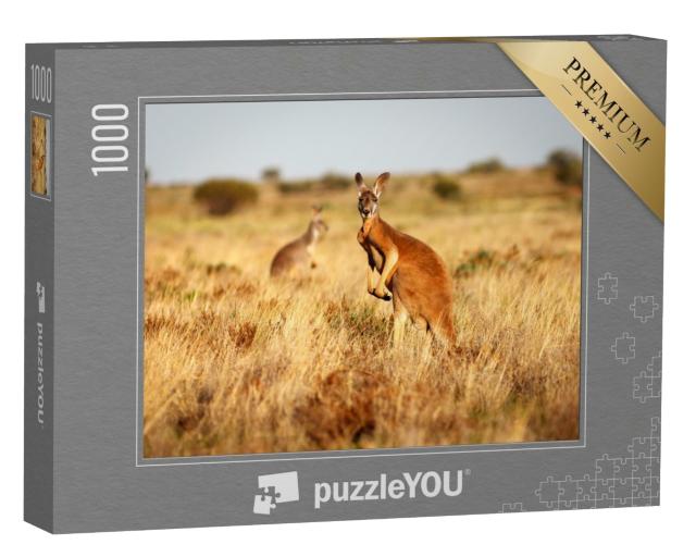 Puzzle de 1000 pièces « Kangourou rouge dans les prairies de l'outback australien »