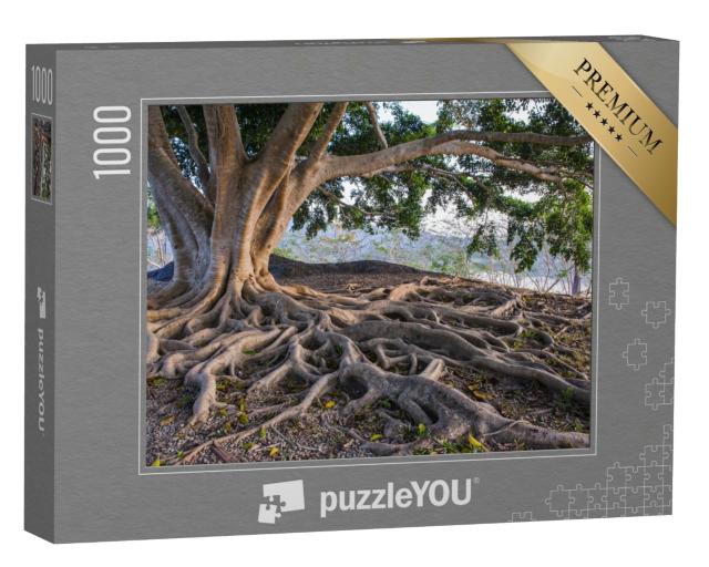 Puzzle de 1000 pièces « Une grande racine d'arbre »