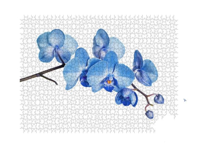 Puzzle de 1000 pièces « Branche fleurie de l'orchidée bleue »