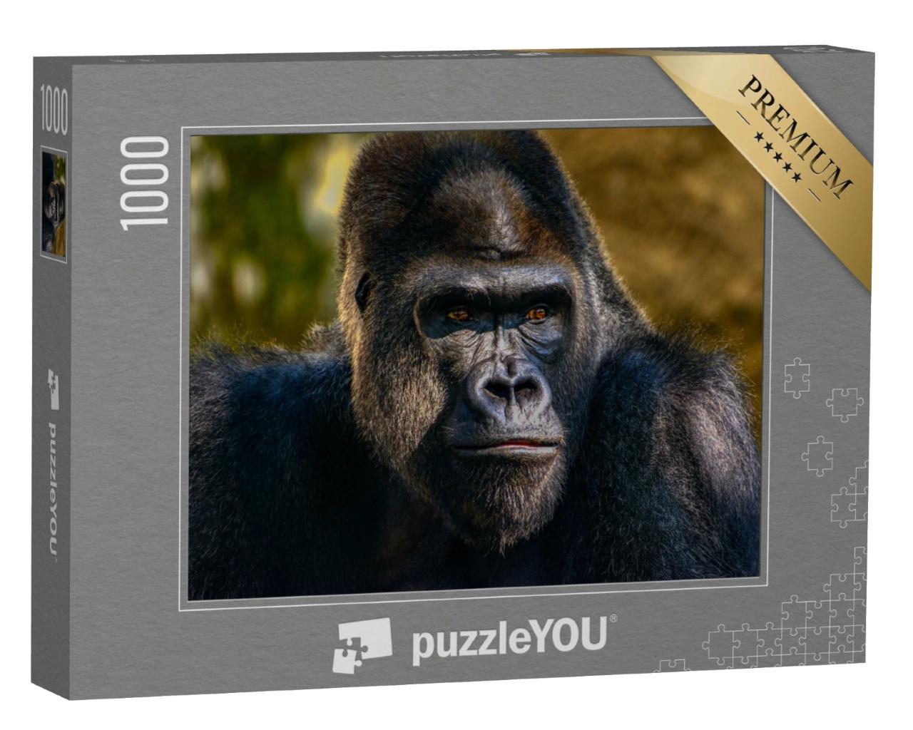 Puzzle de 1000 pièces « Portrait d'un gorille à dos argenté »
