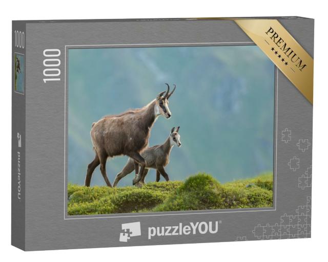 Puzzle de 1000 pièces « Une mère chamois et son petit dans une prairie de montagne »