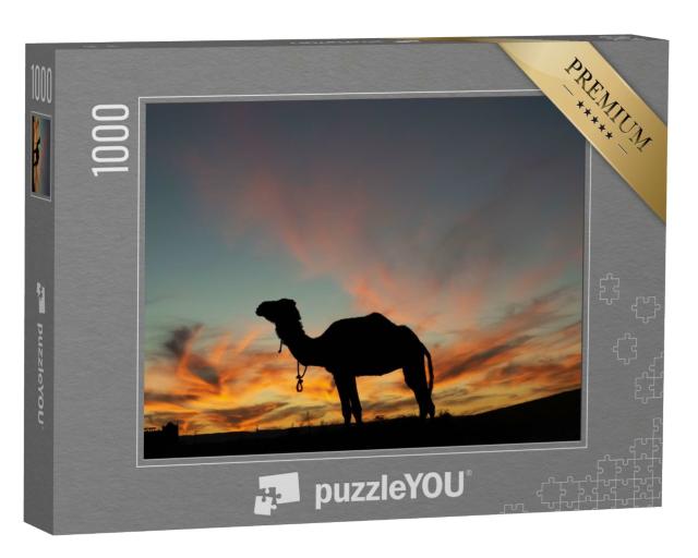 Puzzle de 1000 pièces « Silhouette de dromadaire par une belle soirée dans le désert »