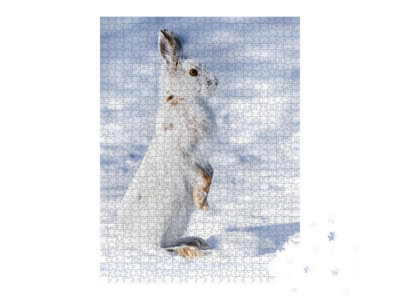 Puzzle de 1000 pièces « Un lièvre variable attentif dans la neige »