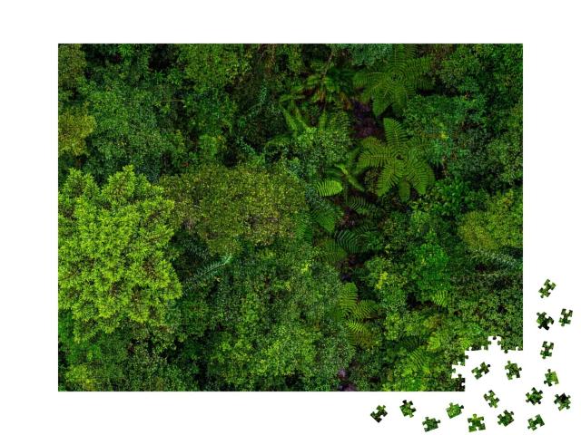 Puzzle de 1000 pièces « Le toit vert de la forêt tropicale »