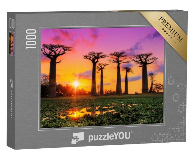 Puzzle de 1000 pièces « Jeu de couleurs au coucher du soleil sur l'allée des baobabs, Madagascar »