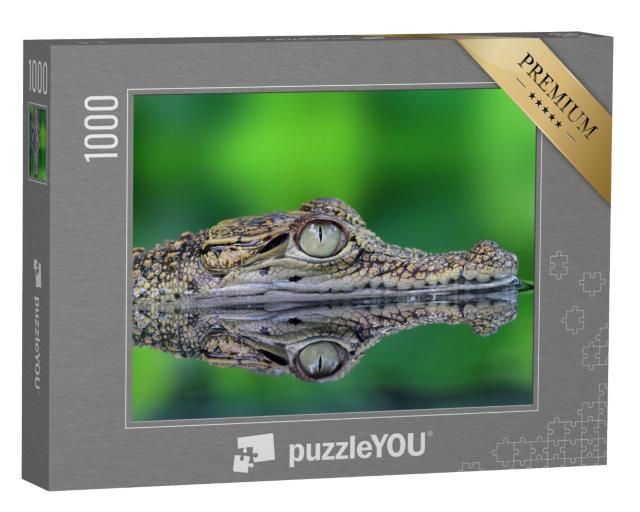 Puzzle de 1000 pièces « Crocodile avec reflet »