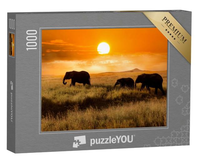 Puzzle de 1000 pièces « Famille d'éléphants au coucher du soleil dans le parc national d'Afrique »