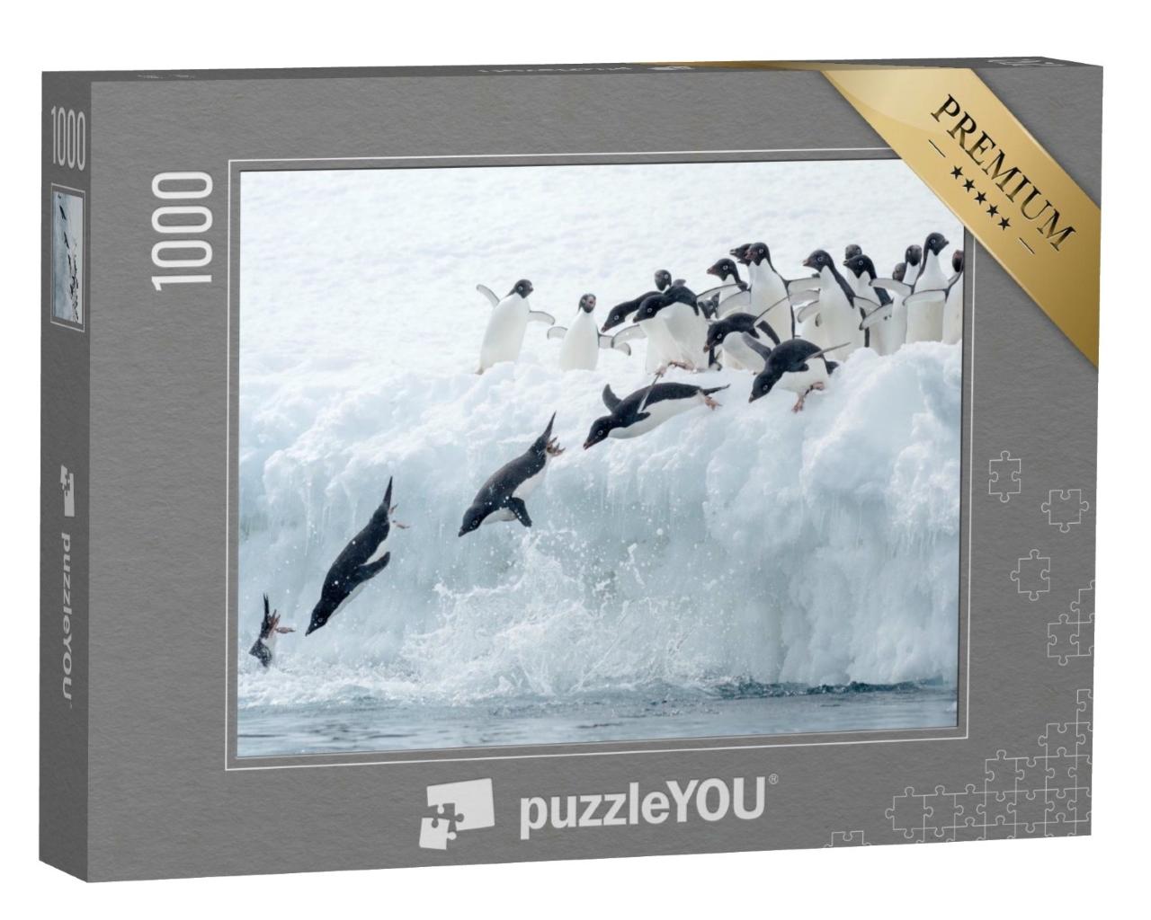 Puzzle de 1000 pièces « Pingouin Adélie sautant dans l'eau glacée »