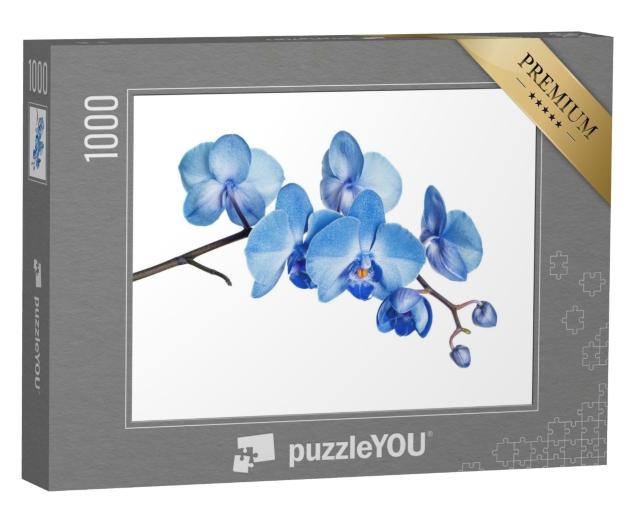 Puzzle de 1000 pièces « Branche fleurie de l'orchidée bleue »