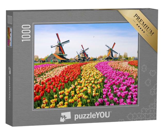 Puzzle de 1000 pièces « Tulipes et moulins à vent à Zaanse Schans, Pays-Bas »