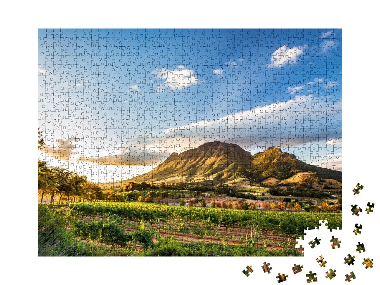 Puzzle de 1000 pièces « Région viticole de Stellenbosch avec Simonsberg, Afrique du Sud »